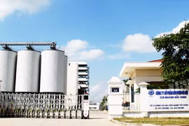 Halico lỗ quý thứ 25 liên tiếp, tăng lỗ lũy kế lên 475 tỷ đồng