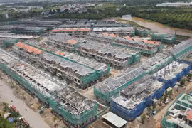 Novaland giảm 1.000 tỷ vốn hợp tác với Bất động sản Đà Lạt Valley