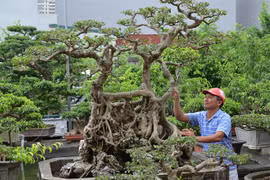 Chuyện truyền kỳ về gã đồ tể có vườn cây cảnh nhất nhì miền Bắc