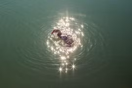 14 bức ảnh vô tình bắt trúng khoảnh khắc trùng hợp đến khó tin