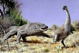 Top sinh vật tưởng chỉ trong truyền thuyết lại có thật ngoài đời