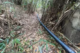 Chủ đầu tư dự án Sonasea Vân Đồn Harbor City nghi lấy nước trái phép 