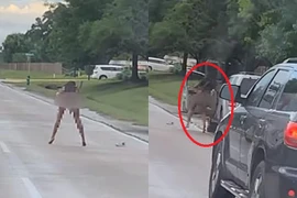 Va chạm giao thông, người phụ nữ đột nhiên làm điều kỳ lạ