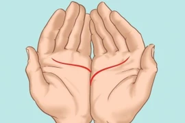 Đặt 2 bàn tay cạnh nhau nhìn ra ngay chuyện tình cảm bạn có hạnh phúc hay không?