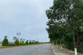 Các địa phương báo cáo các gói thầu vụ Cây xanh Công Minh thế nào?