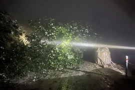 Đường lên Cửa khẩu quốc tế Cầu Treo tắc nghẽn do sạt lở