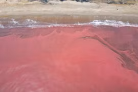 Hà Tĩnh: Người dân ngỡ ngàng vì nước biển bất ngờ chuyển sang màu đỏ