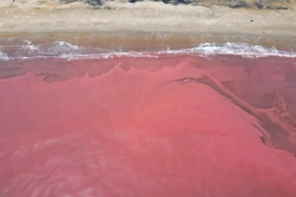 Hà Tĩnh: Người dân ngỡ ngàng vì nước biển bất ngờ chuyển sang màu đỏ