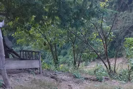 Nghệ An: Quả đồi nứt dài hơn 100m sau tiếng nổ lớn