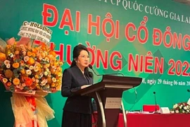 Quý 4 lãi lớn giúp Quốc Cường Gia Lai thoát lỗ cả năm
