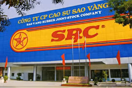 Nhóm cổ đông Hoành Sơn đã chiếm 3/5 ghế nóng tại Cao su Sao Vàng