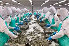 Doanh nghiệp thủy sản hưởng lợi nhờ thuế chống phá giá giảm 94%