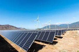 Đạt mức lãi kỷ lục, SCI E&C tăng cổ tức từ 10% lên 70% cho cổ đông