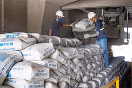 Vicem Hà Tiên lỗ khủng 86 tỷ quý 1/2023