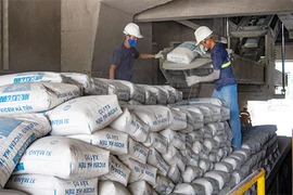 Vicem Hà Tiên lỗ khủng 86 tỷ quý 1/2023