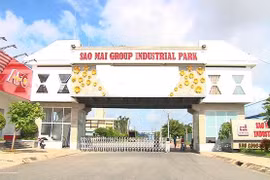 Sao Mai dự chia cổ tức 30%, cổ phiếu ASM liền bật trần