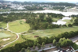 SCIC đấu giá trọn lô 12% vốn công ty của Tổng giám đốc Trần Phú Cable