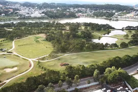 SCIC đấu giá trọn lô 12% vốn công ty của Tổng giám đốc Trần Phú Cable