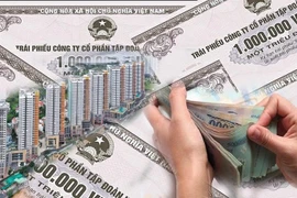 Đất Xanh Miền Nam "khất" lãi trái phiếu 3 kỳ liên tiếp