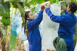 HAGL thu về hơn 1.000 tỷ đồng doanh thu trong 2 tháng đầu năm