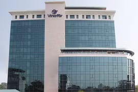 Vinafor ước tính lãi hợp nhất năm 2020 đạt 227 tỷ đồng