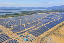 Tracodi sắp phát hành 87 triệu cổ phiếu nâng vốn lên gấp đôi