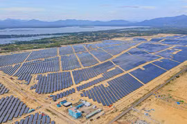 Tracodi sắp phát hành 87 triệu cổ phiếu nâng vốn lên gấp đôi