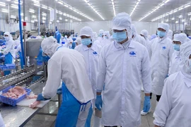 Vĩnh Hoàn: Doanh thu xuất khẩu tiếp tục sụt giảm 45% trong tháng 1