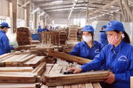 TTF báo lãi ròng tăng 130% sau soát xét