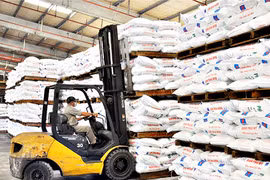 Lãi ròng của Phân bón miền Bắc giảm 63% trong quý 1
