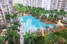 Novaland bảo lãnh khoản vay 350 tỷ đồng cho công ty con tại MSB