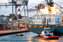 VNT Logistics bị truy thu và xử phạt thuế hơn 1,8 tỷ đồng