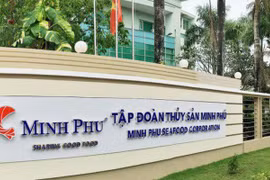 'Vua tôm' Minh Phú dự kiến chia cổ tức năm 2022 ở mức 50-70% 