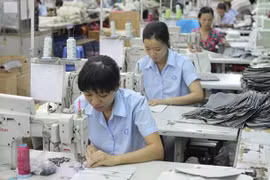 Gilimex đầu tư dự án 3.000 tỷ, chào bán 12 triệu cổ phiếu với giá thấp hơn 22% thị giá