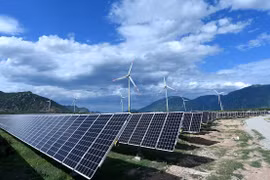 Doanh nghiệp thuộc Trungnam Group lãi 152 tỷ đồng bán niên 2023