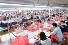 May Sông Hồng phát hành 25 triệu cổ phiếu trả cổ tức tỷ lệ 50%