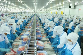 Đại gia ngành cá tra dự chi gần 449 tỷ đồng trả cổ tức