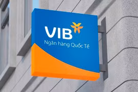 VIB sẽ chia cổ tức tiền mặt 6,5%, kế hoạch lợi nhuận tăng 13%