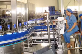 Thương hiệu vang bóng một thời Halico lỗ luỹ kế 458 tỷ đồng