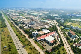 Lãi quý 2 của SNZ giảm 26% về còn 179 tỷ đồng