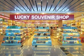 Taseco Airs có lãi trở lại sau nhiều quý ngập trong thua lỗ