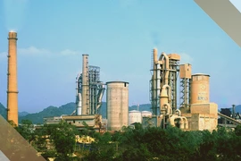 Lãi bán niên 2021 của VICEM đạt hơn 1.250 tỷ đồng