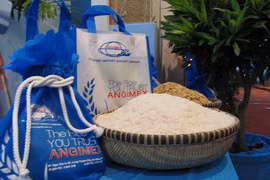 Xuất nhập khẩu An Giang sắp chi 260 tỷ đồng thành lập công ty con