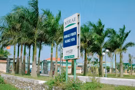 CTCP Mirae bị truy thu hơn 1 tỷ đồng do vi phạm hành chính thuế