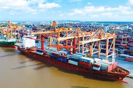 Một doanh nghiệp vận tải biển bị nghi ngờ khả năng hoạt động liên tục 