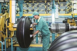 Lãi quý 2 của Cao su Đà Nẵng đổ đèo 39% do tác động tiêu cực từ tiêu thụ sản phẩm