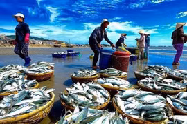 Thời điểm để tích luỹ cổ phiếu ngành thuỷ sản?