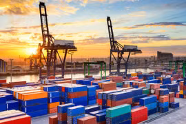 Gemadept bị phạt 125 triệu do không đủ thành viên HĐQT