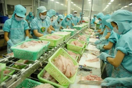 Phó Tổng Giám đốc Nguyễn Thanh Hải vừa trở thành cổ đông lớn tại IDI