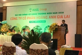 Bầu Đức: Kế hoạch HAGL lỗ hơn 350 tỷ năm 2020, kỳ vọng lớn vào nông nghiệp